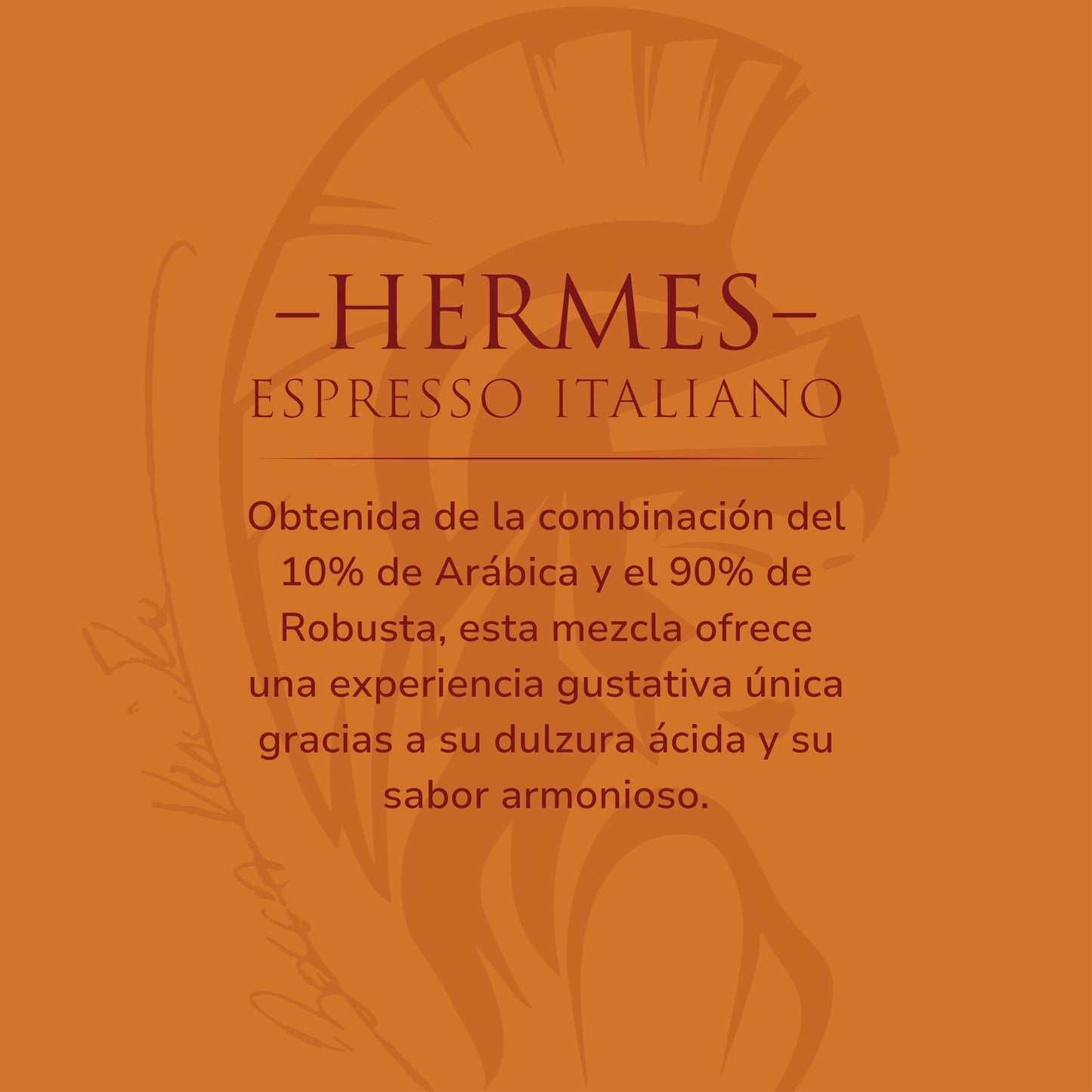 Hermes Espresso Italiano, Caffè Italiano in Capsule Compatibili con Macchina da Caffè Nespresso®